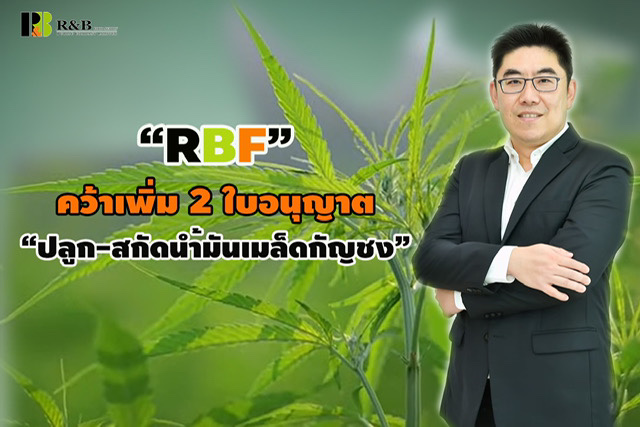 RBF ได้ใบอนุญาตปลูก-สกัดน้ำมันจากเมล็ดกัญชงจาก อย. ครอบคลุม ต้นน้ำ-กลางน้ำ 